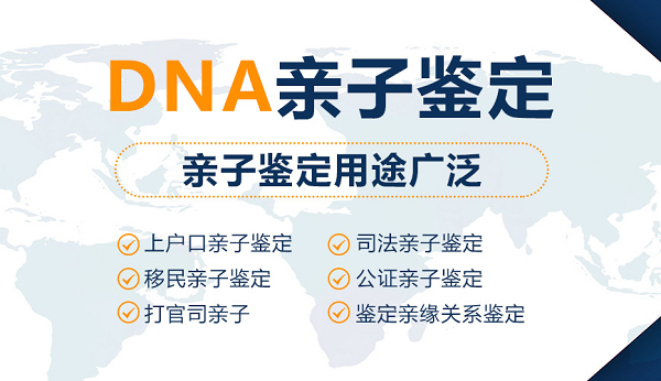 怀孕几个月丽水要如何办理产前亲子鉴定,丽水做孕期亲子鉴定结果准确吗